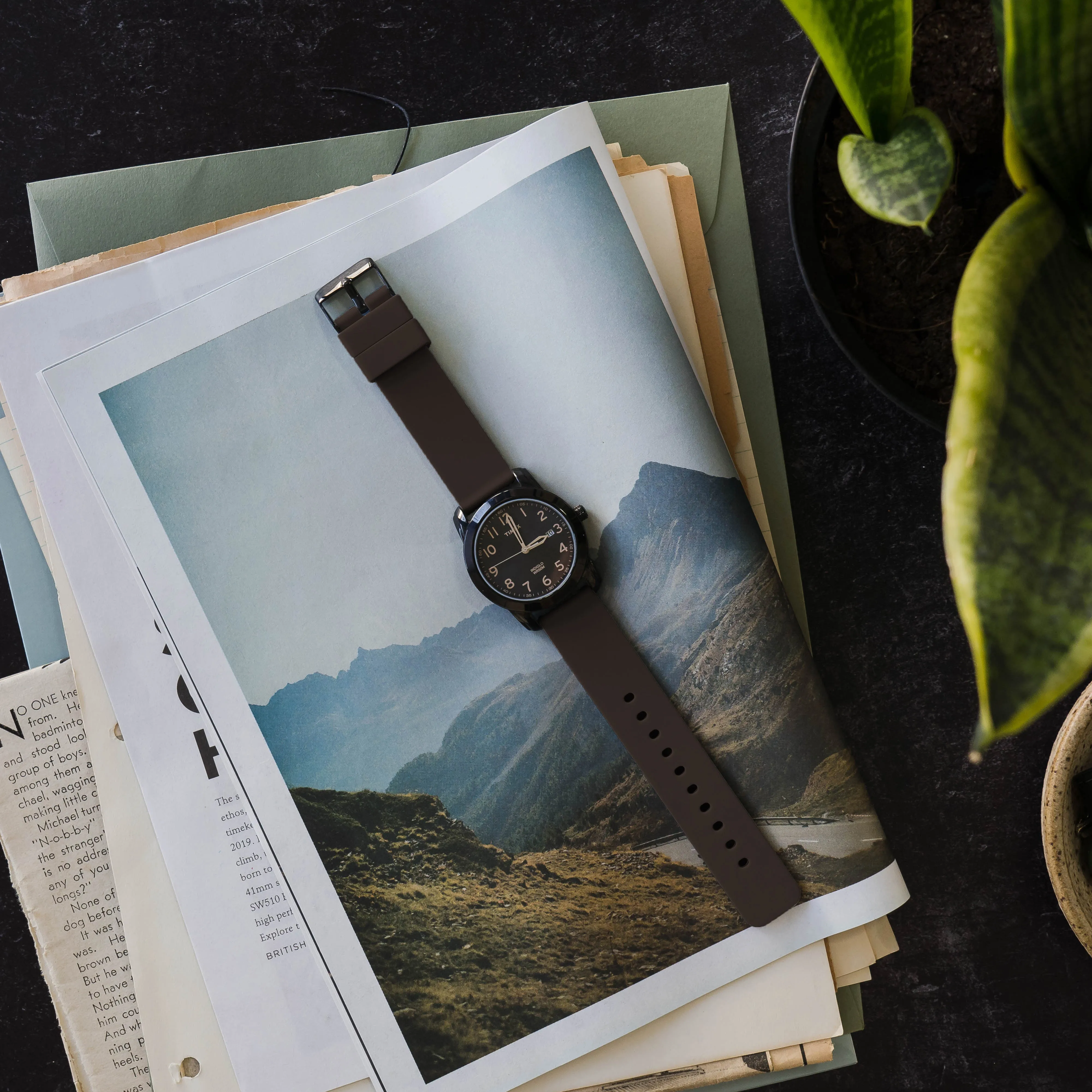 Chocolate Brown Watch Band