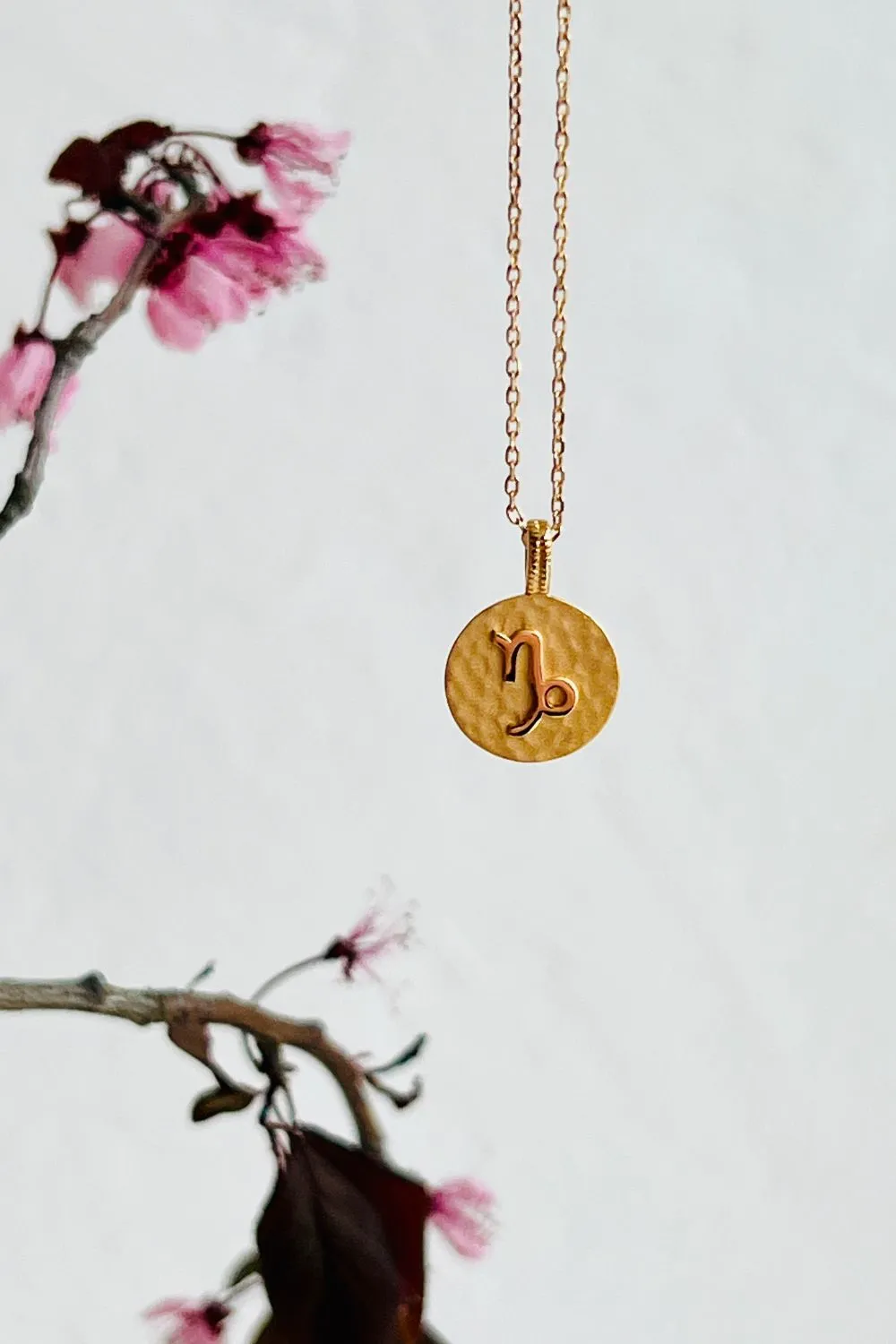 ZODIAC - CAPRICORN NECKLACE (PRE-ORDER FOR END SEPTEMBER)